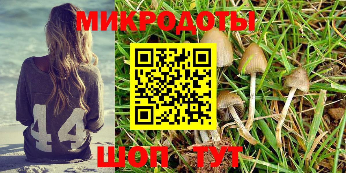 Псилоцибиновые грибы Magic Shrooms  Псилоцибиновые грибы Cubensis  Вход с VPN  как найти закладки  Моздок 
