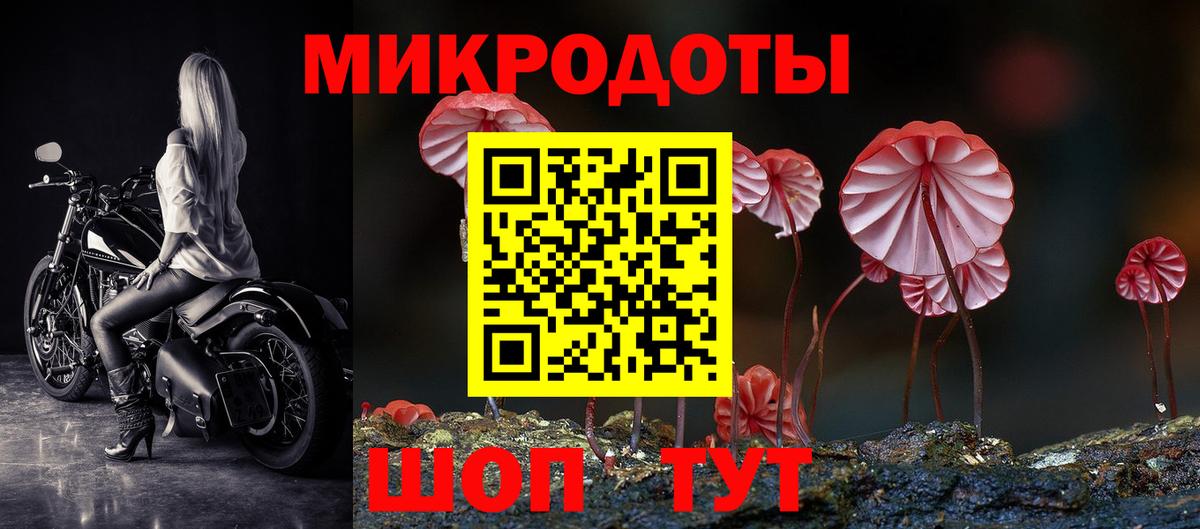Галлюциногенные грибы Cubensis Моздок